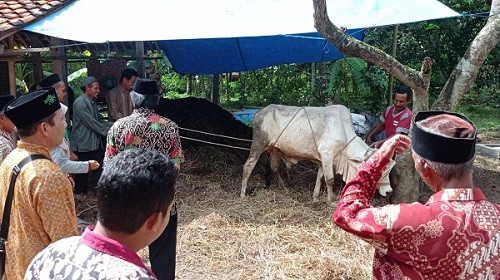 SOSIALISASI PELAKSANAAN PEMOTONGAN HEWAN QURBAN DALAM SITUASI WABAH PENYAKIT MULUT DAN KUKU