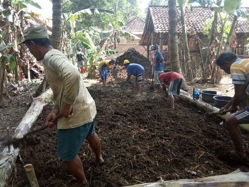 Pembuatan Pupuk Organik dari kotoran Sapi